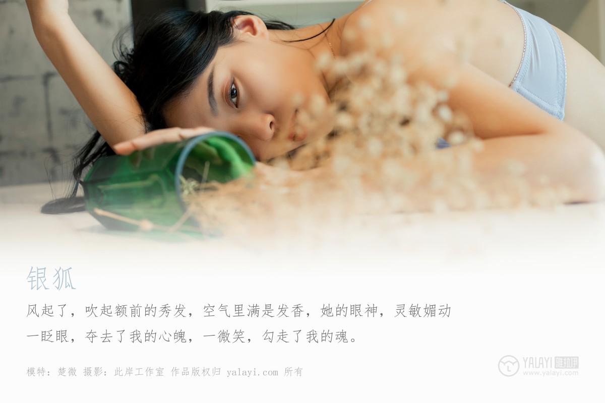 [YALAYI雅拉伊]2019.06.30 Y324 楚薇 银狐-微密图社