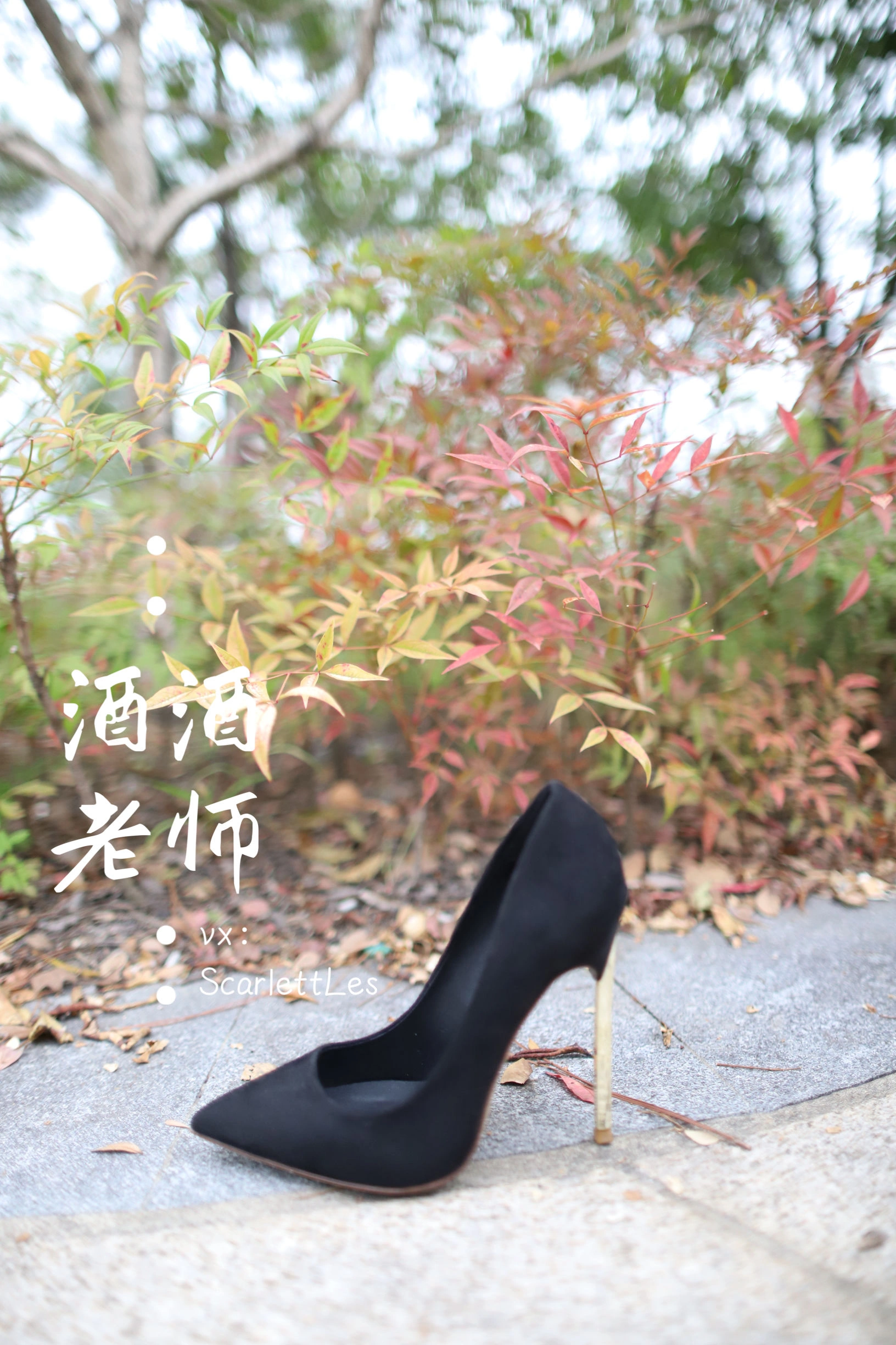 酒酒老师 – 上课前误穿黒丝插图4
