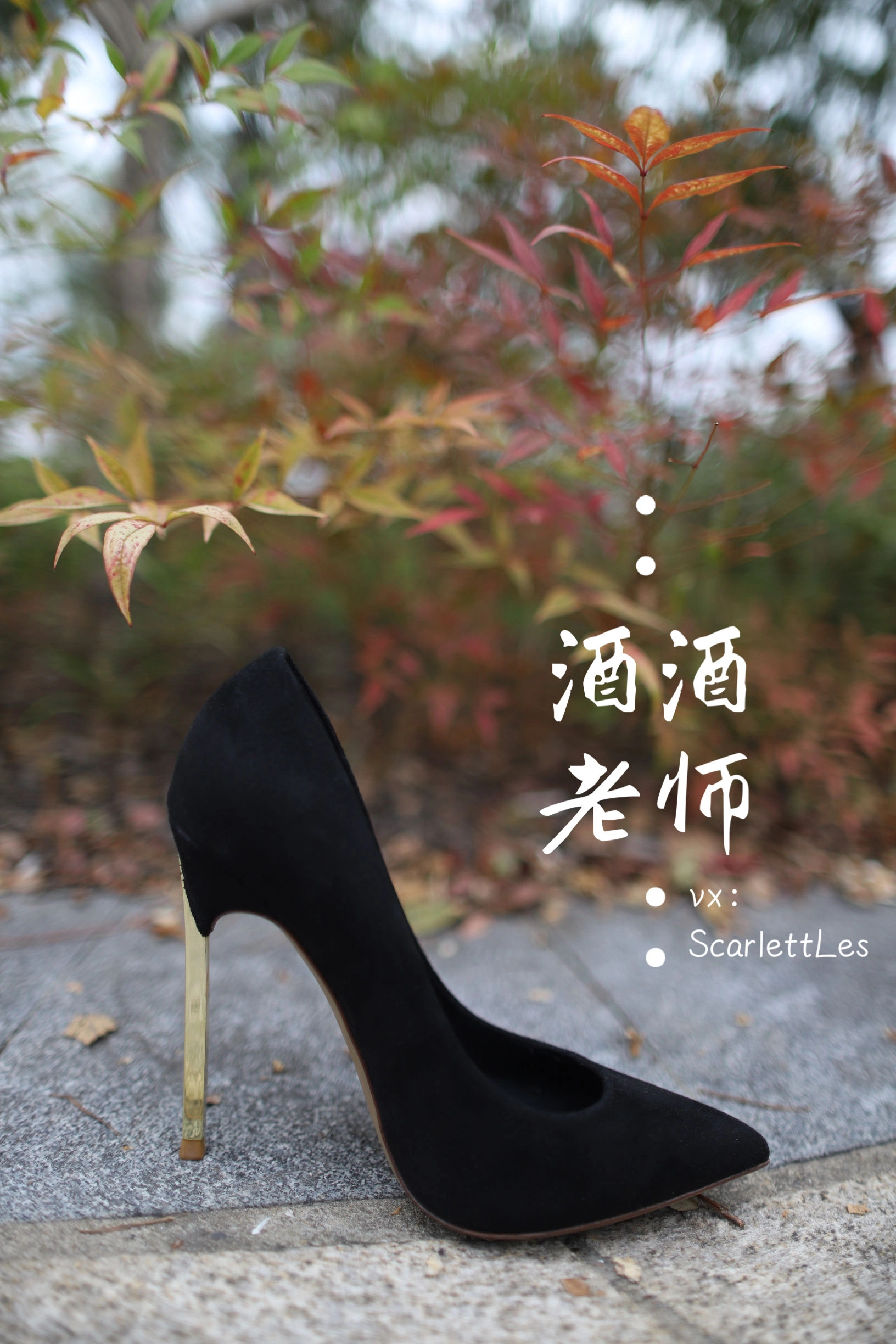 酒酒老师 – 上课前误穿黒丝插图1