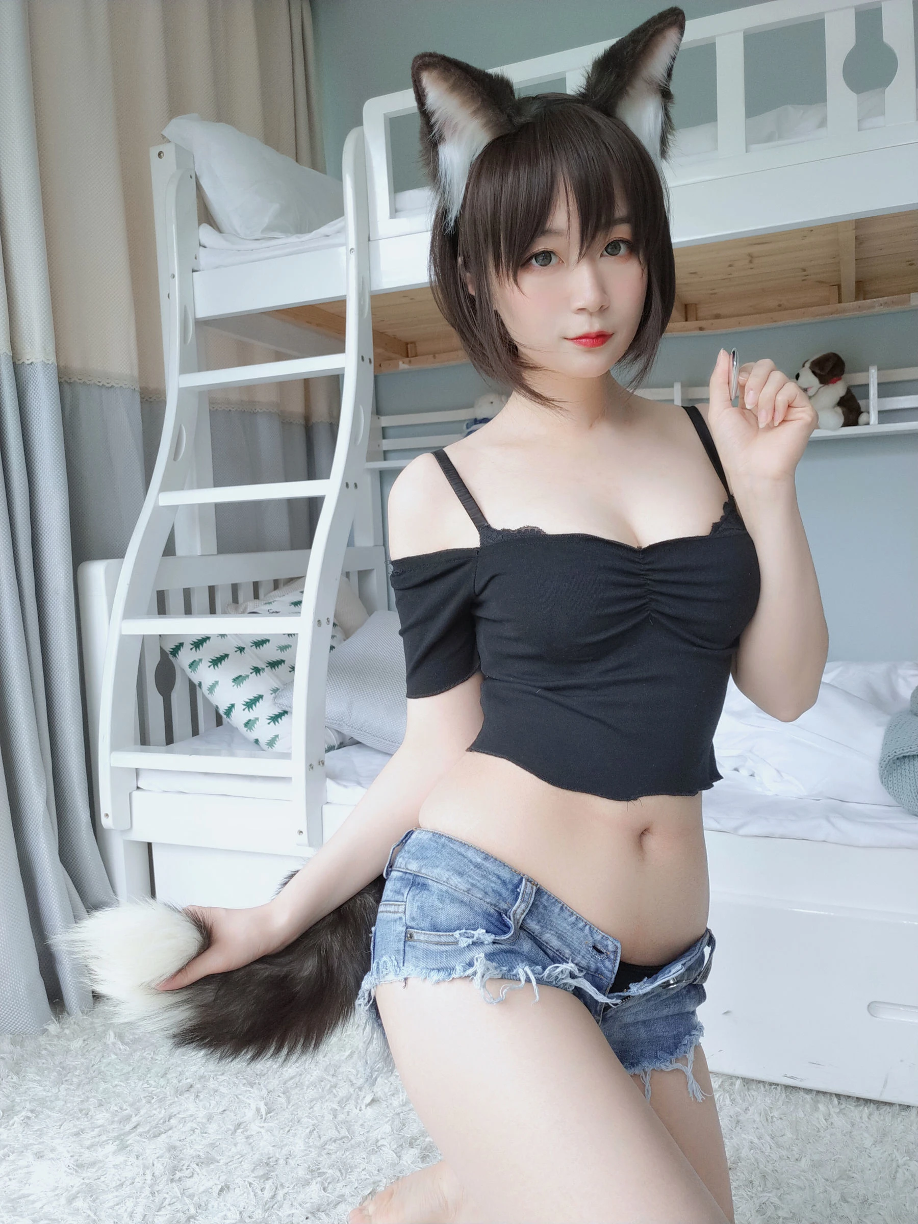 白银 – 布偶猫插图1