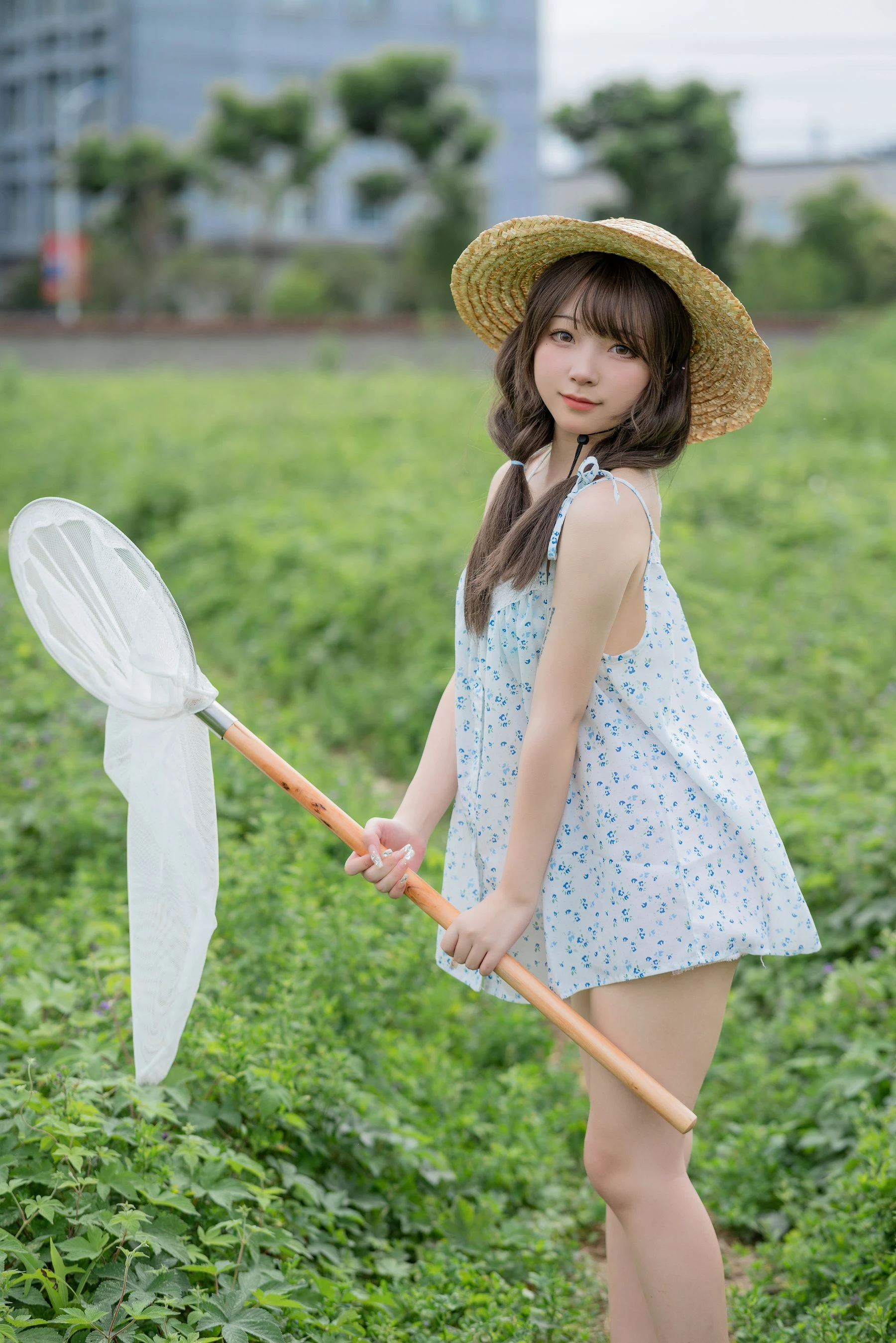 花铃 – 田野插图1