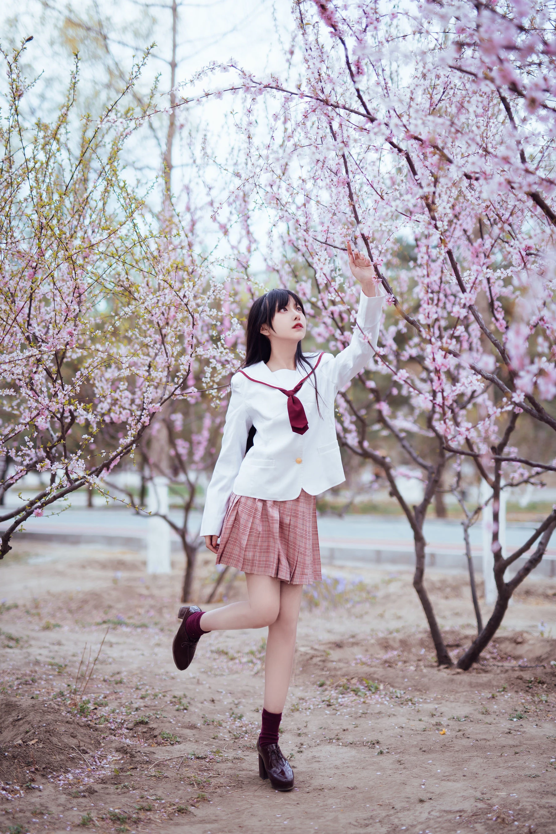 Shika小鹿鹿 – 樱花插图4