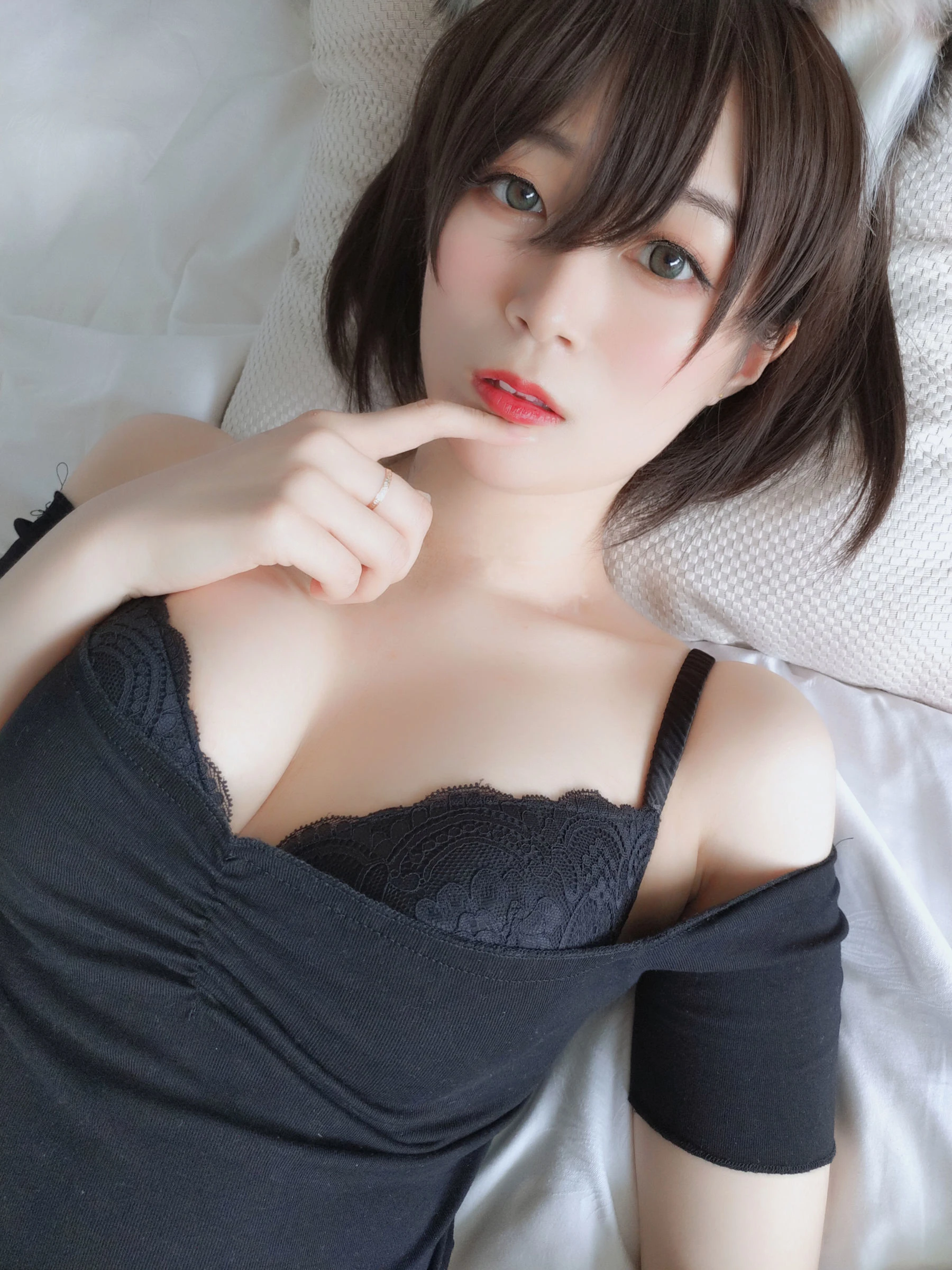 白银 – 布偶猫插图3