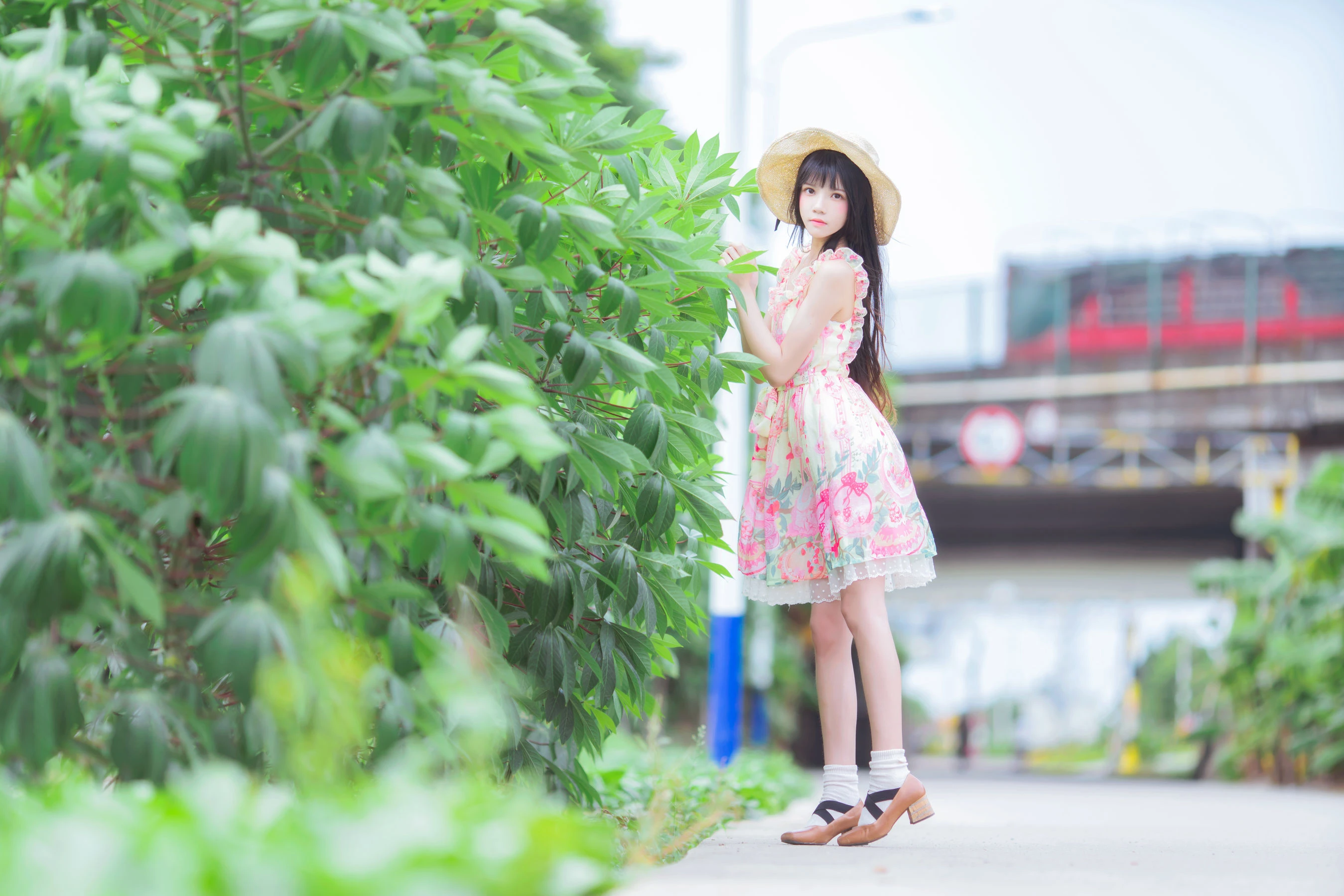 桜桃喵 – 清新之夏风插图3