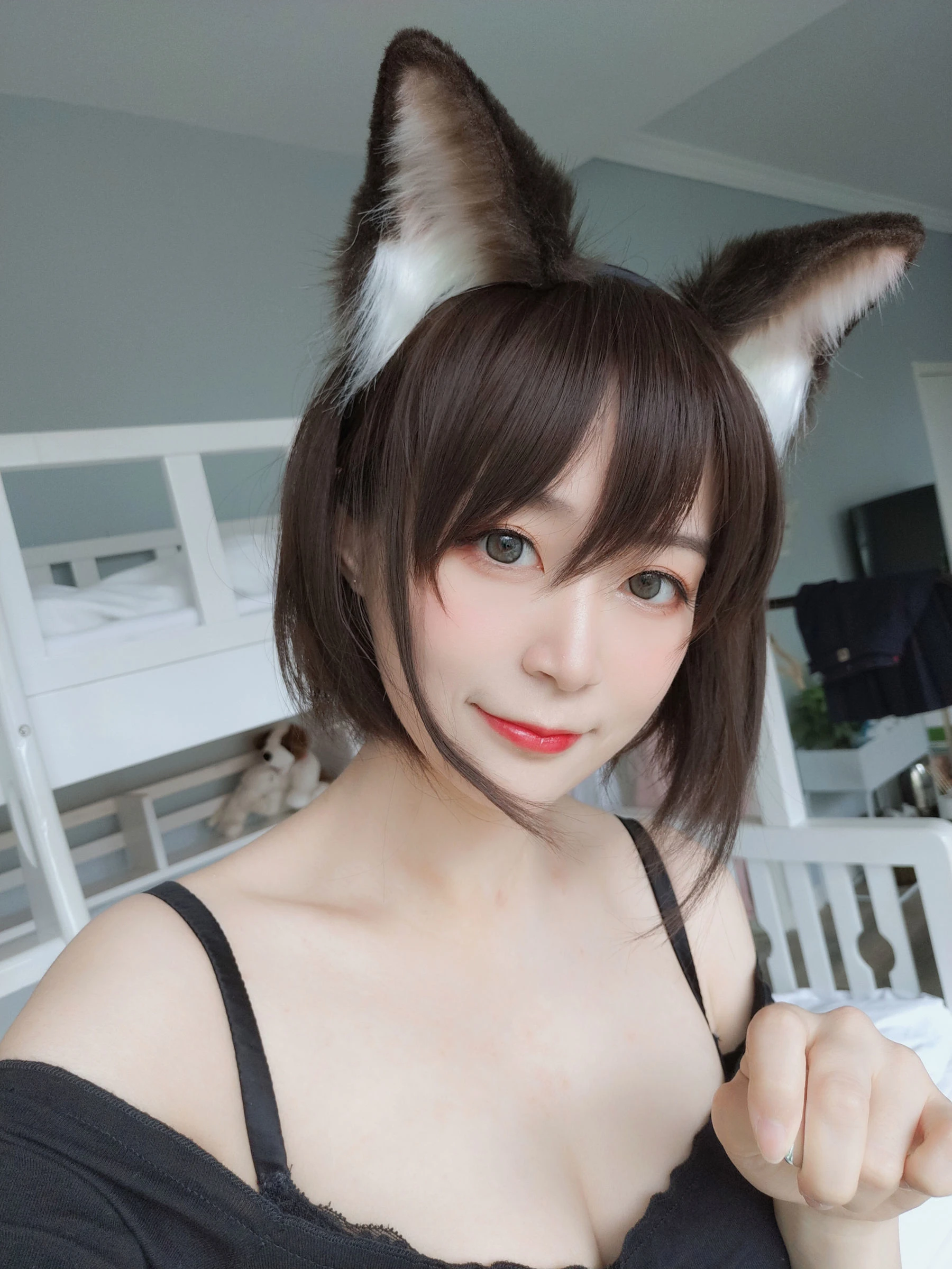 白银 – 布偶猫插图4