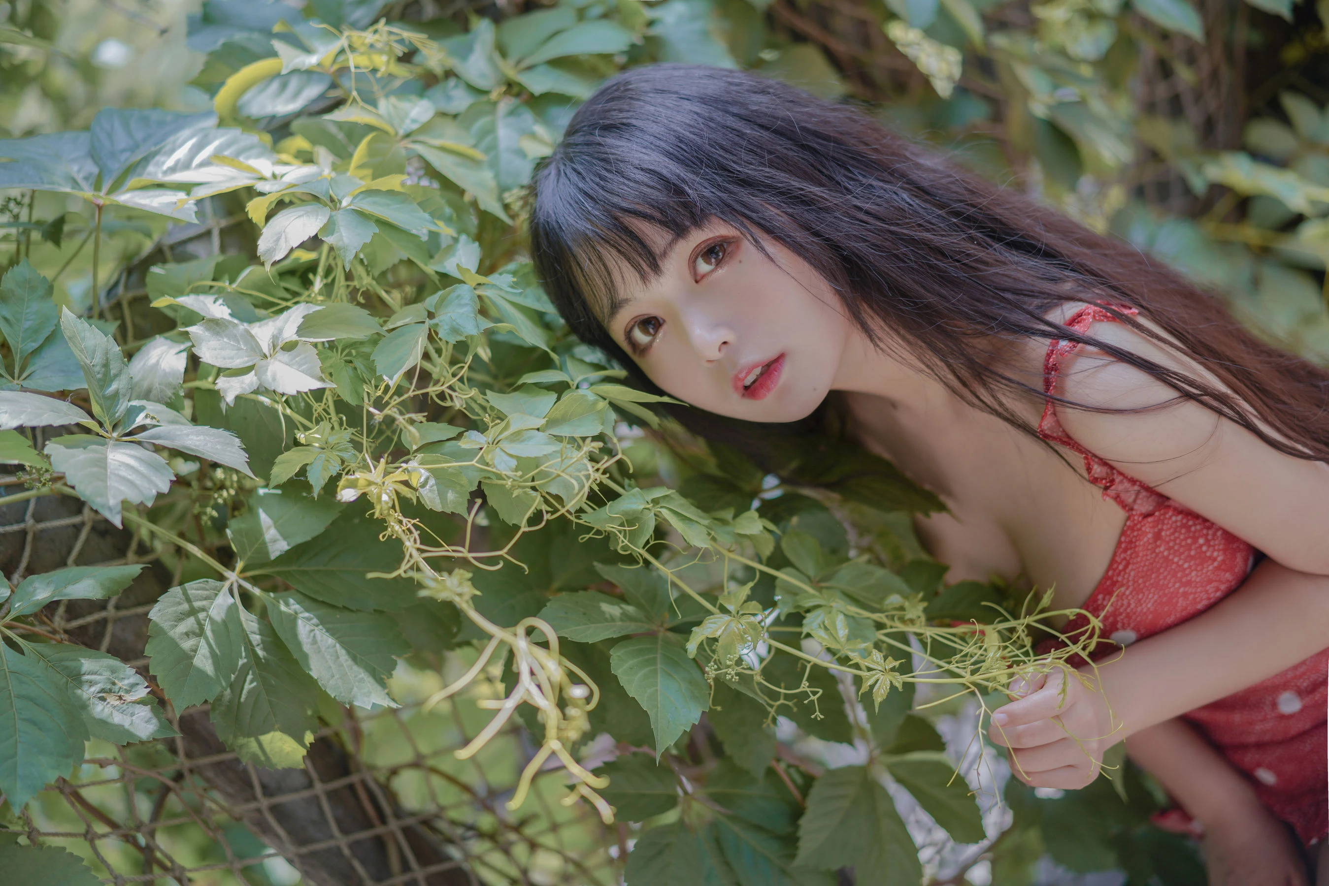 大眼萌妹黑猫猫OvO – 草莓 [32P]插图5