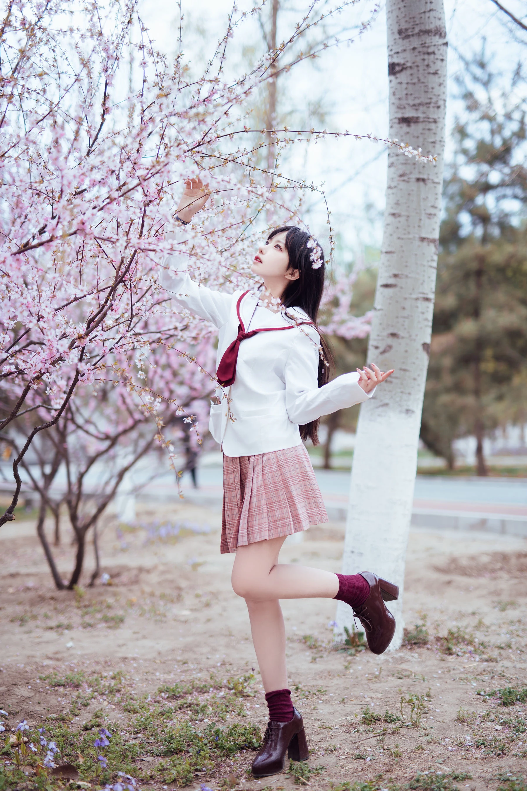 Shika小鹿鹿 – 樱花插图2