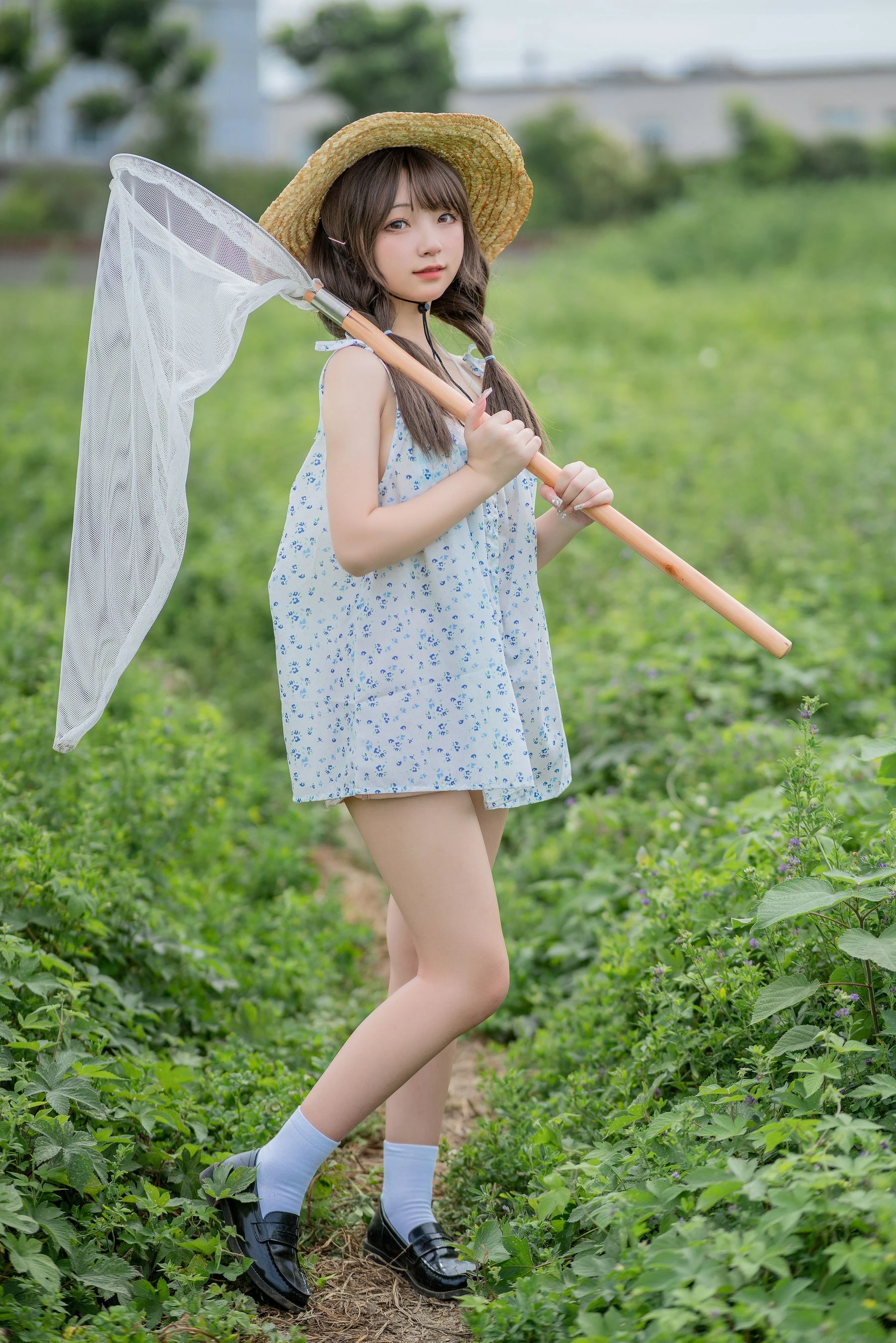 花铃 – 田野插图3