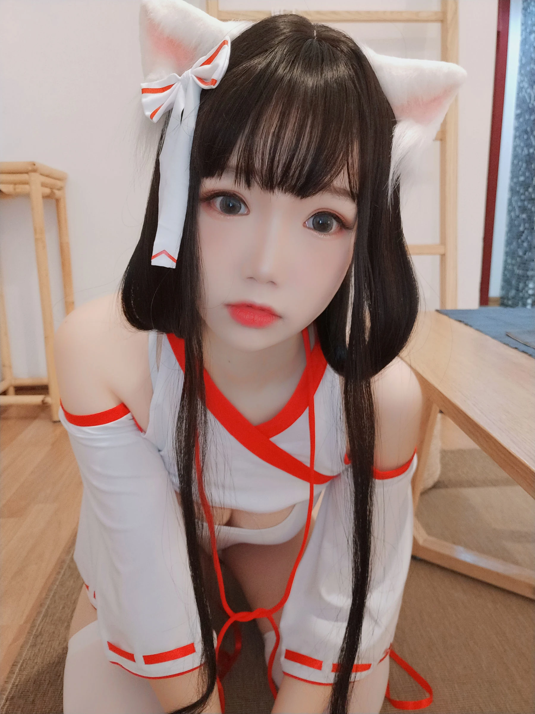 动漫博主雪晴Astra 神社の猫插图8