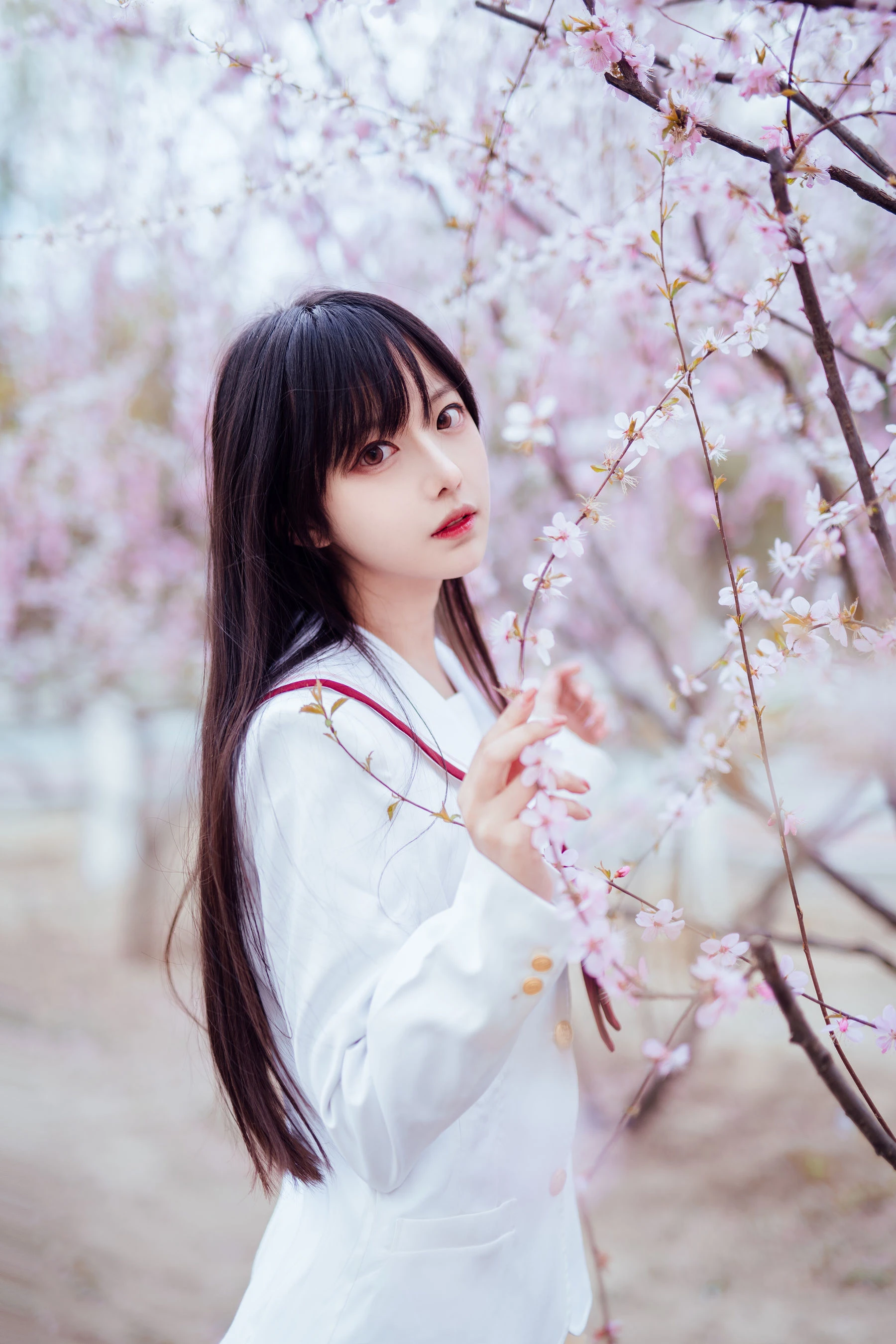 Shika小鹿鹿 – 樱花插图6