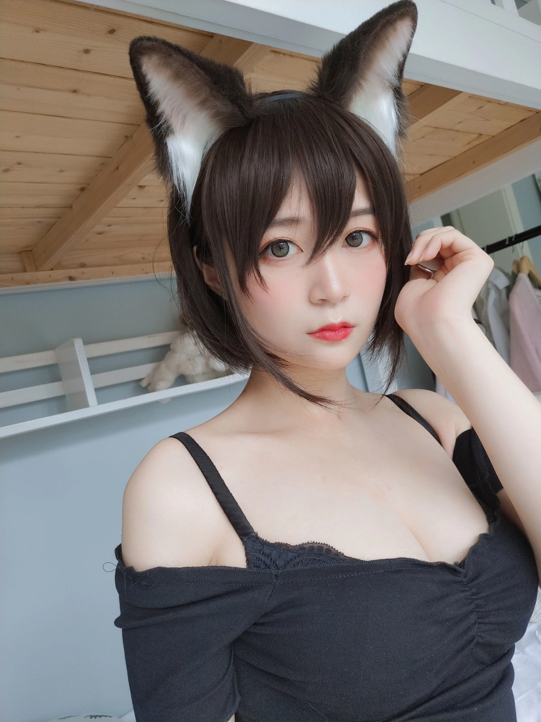 白银 – 布偶猫插图6