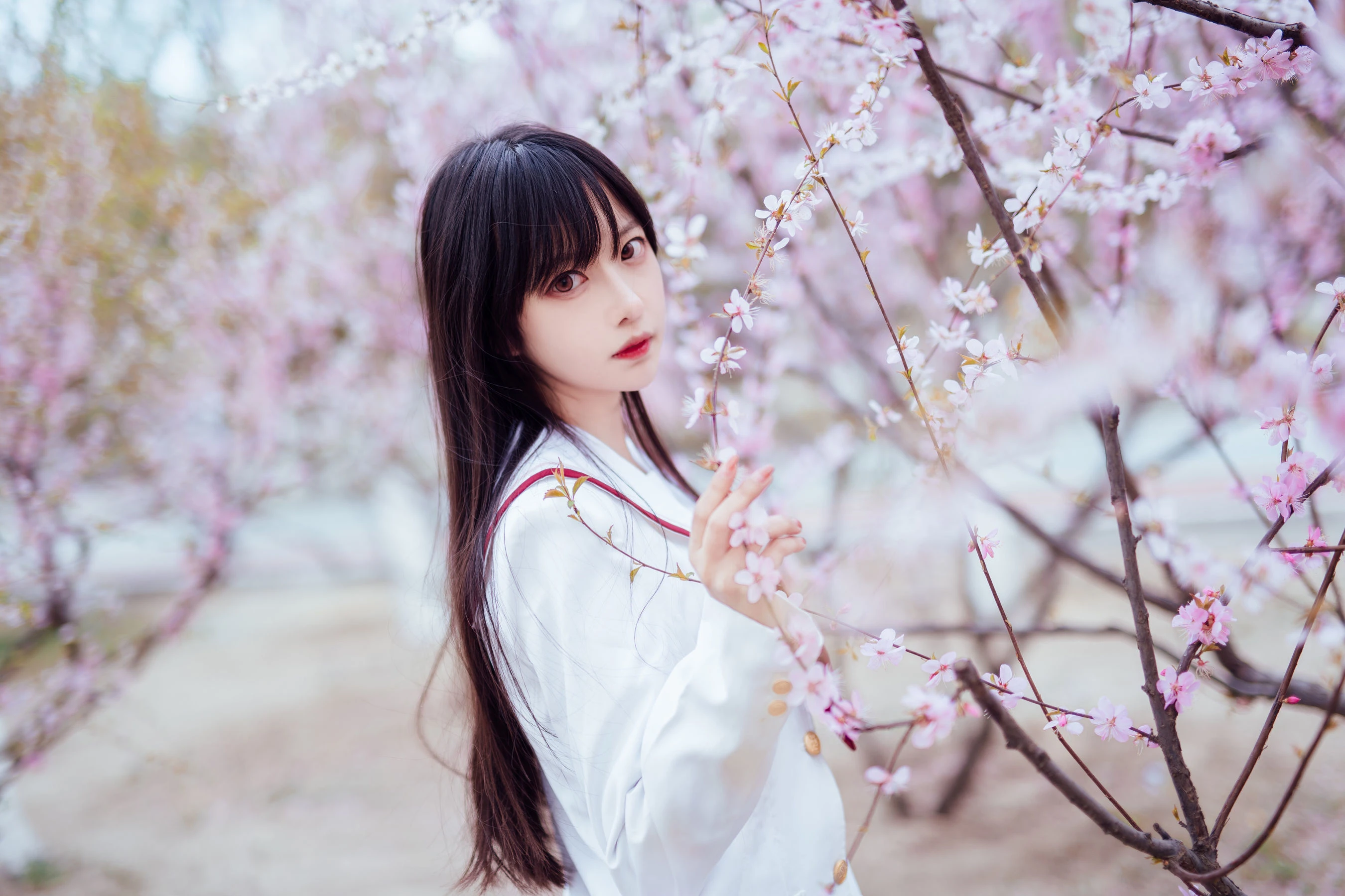 Shika小鹿鹿 – 樱花插图5