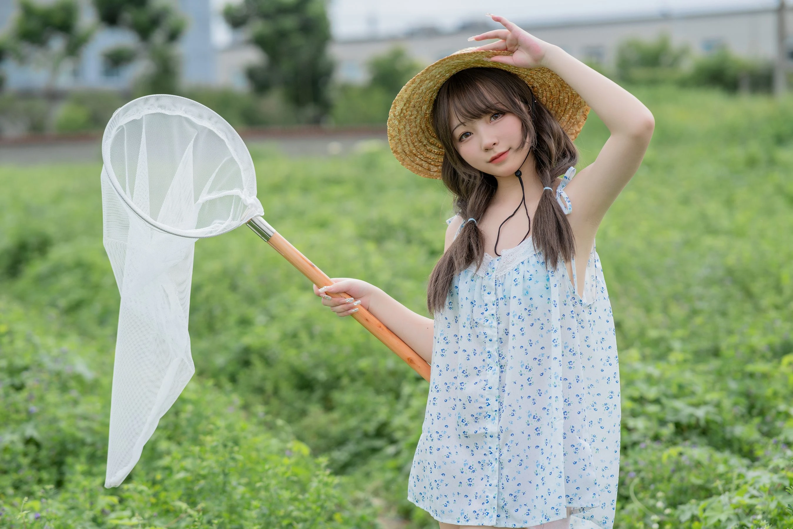 花铃 – 田野插图2
