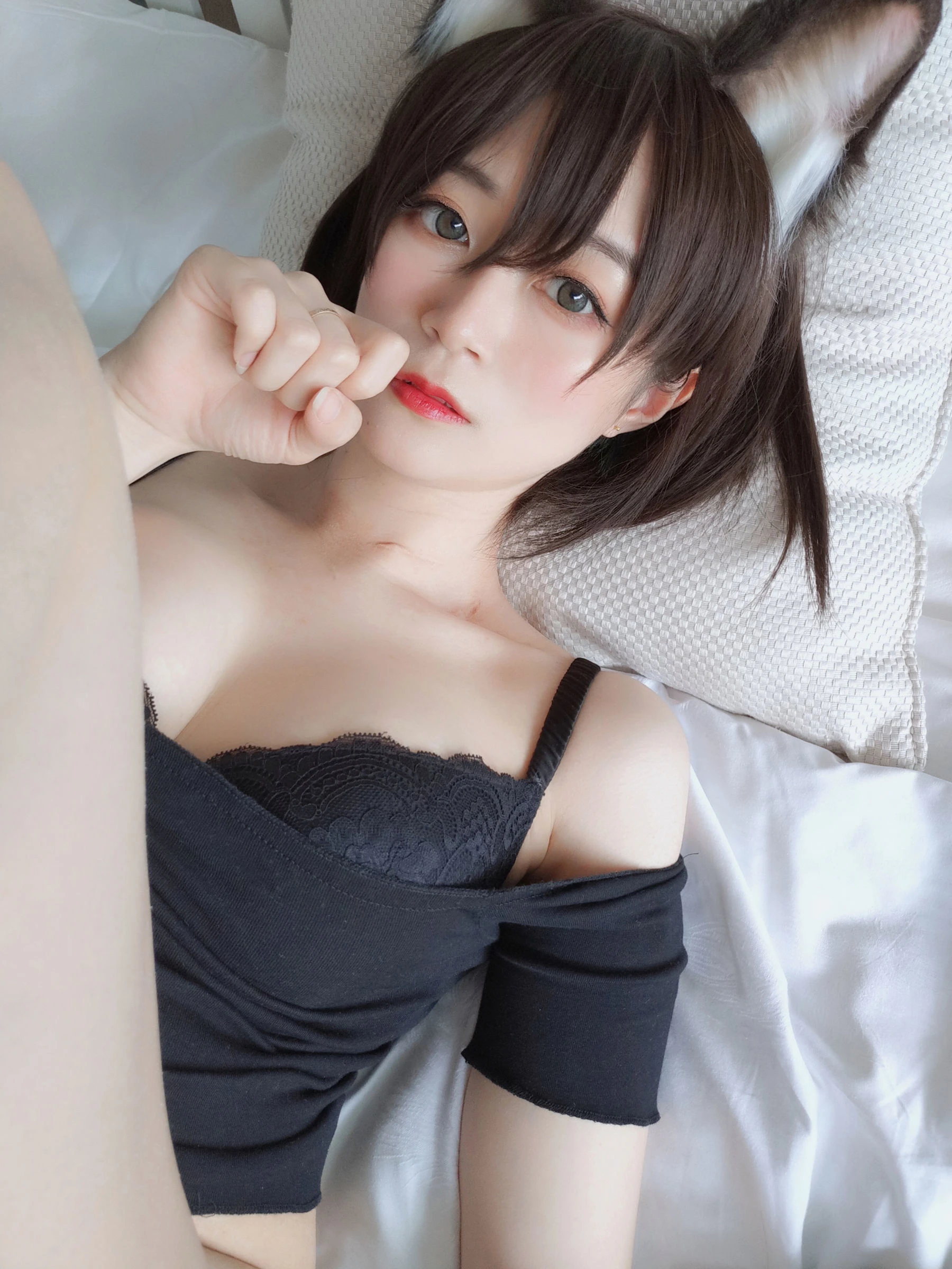 白银 – 布偶猫插图7