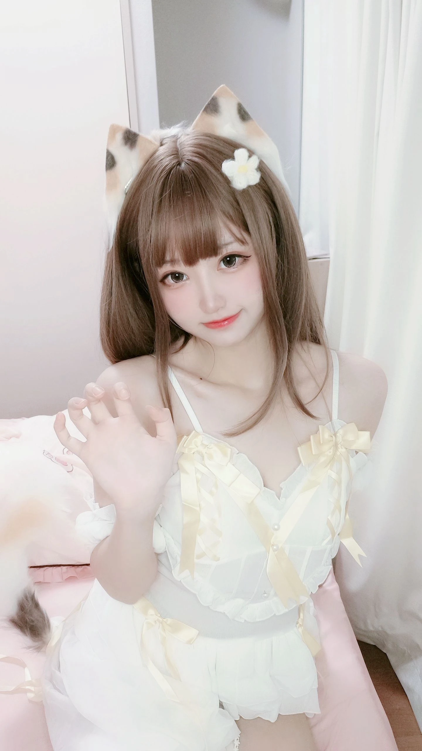 千阳(ちよ) – 三花猫插图4