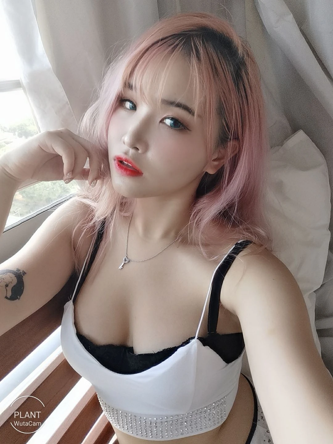 花リリ(Plant Lily) – Plant Lily插图1