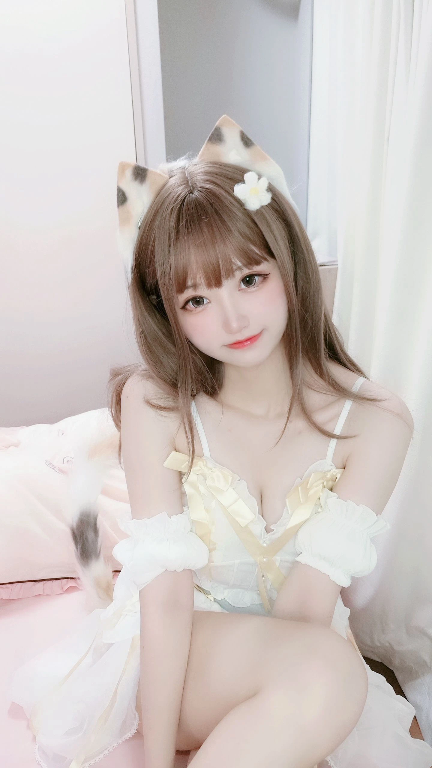 千阳(ちよ) – 三花猫插图5