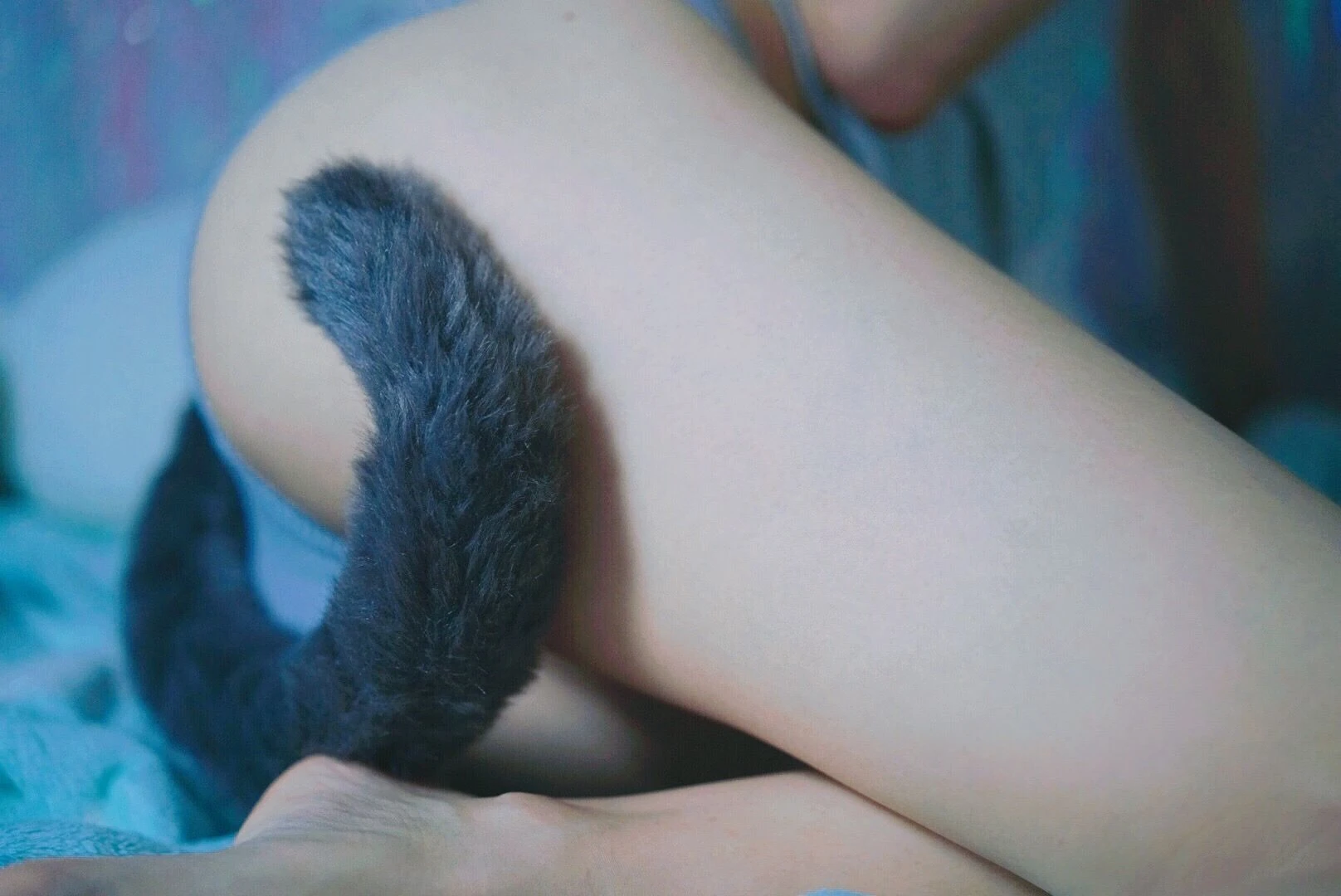 萌妹子眼酱大魔王w – 灰尾猫系插图6
