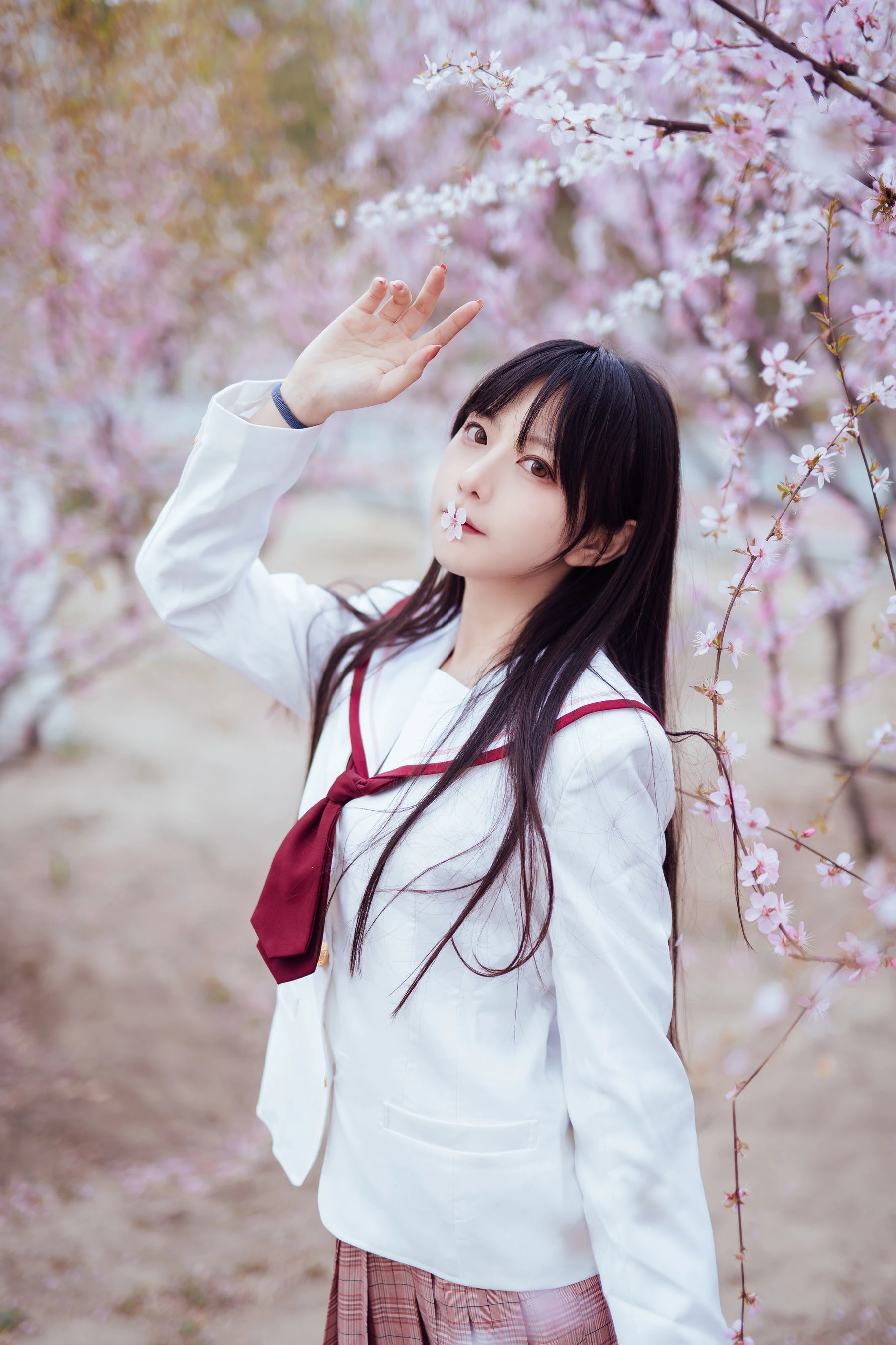 Shika小鹿鹿 – 樱花插图7