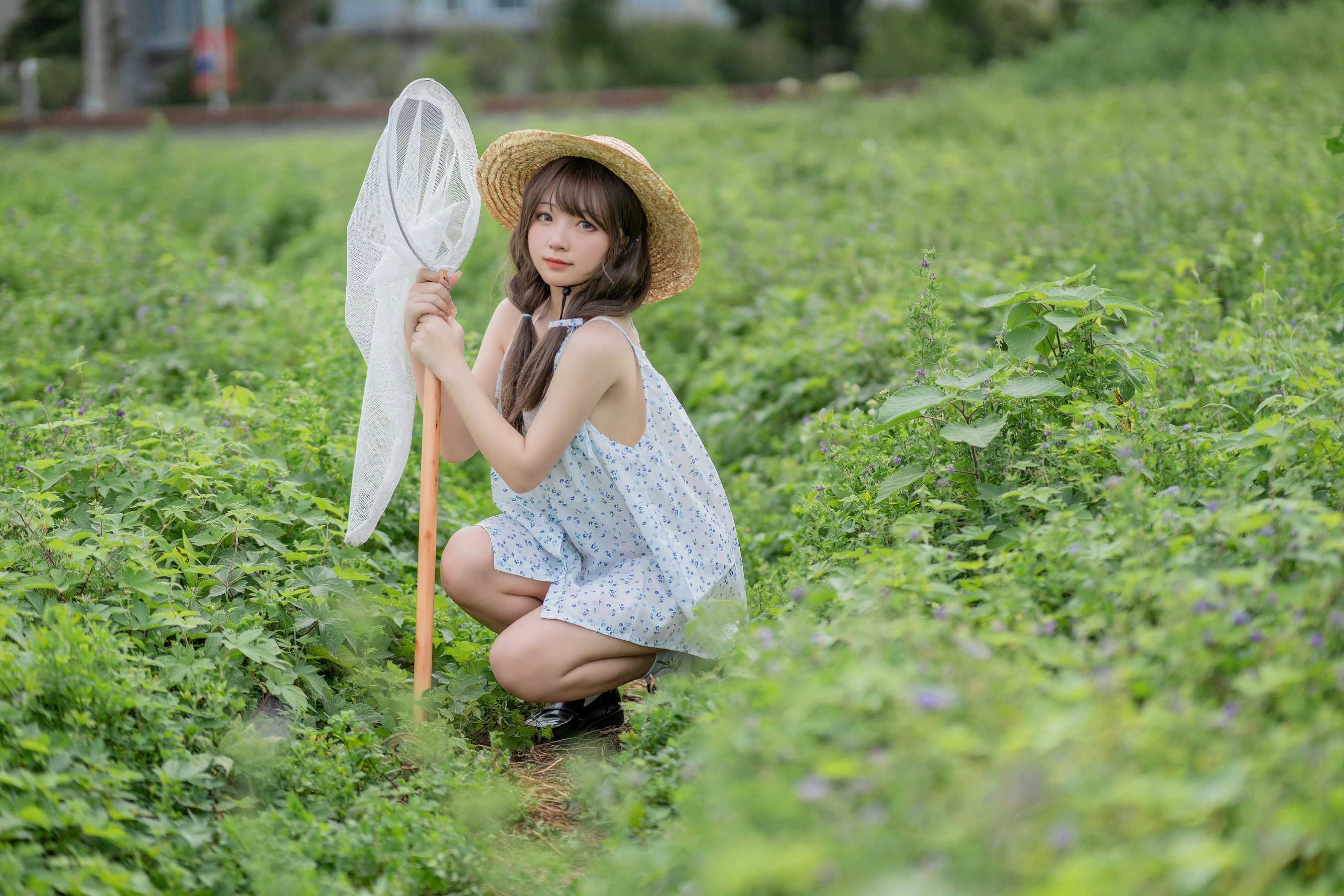花铃 – 田野插图4